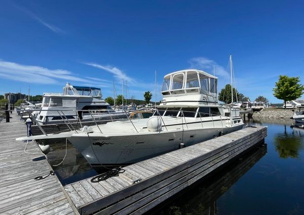 Viking 43-DOUBLE-CABIN-MOTOR-YACHT image