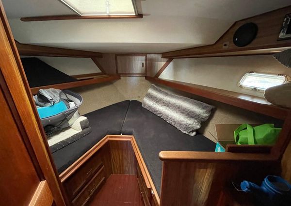 Viking 43-DOUBLE-CABIN-MOTOR-YACHT image