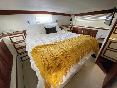 Viking 43-DOUBLE-CABIN-MOTOR-YACHT image