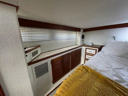 Viking 43-DOUBLE-CABIN-MOTOR-YACHT image