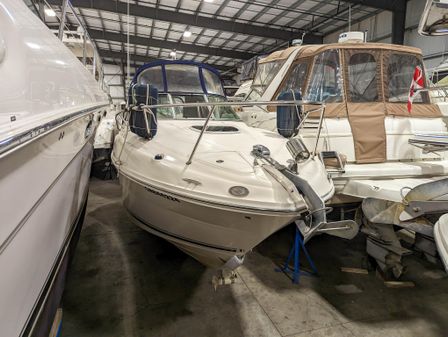 Sea Ray 260 Sundancer image