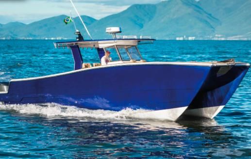 World Cat 36