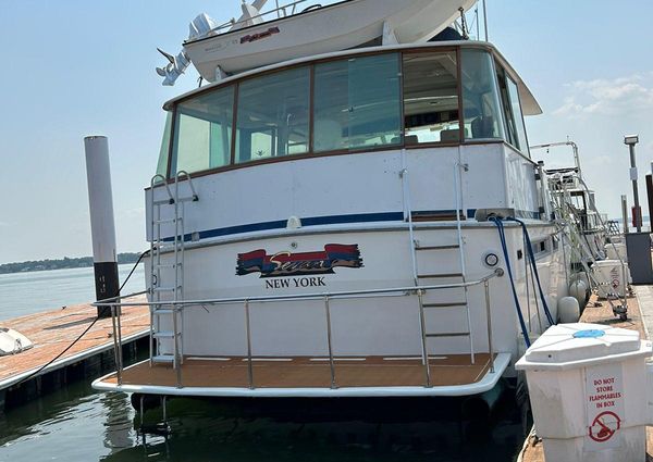 Bertram Flybridge image