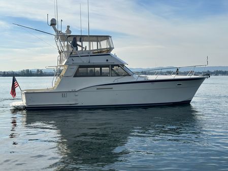 Hatteras SPORTFISH image