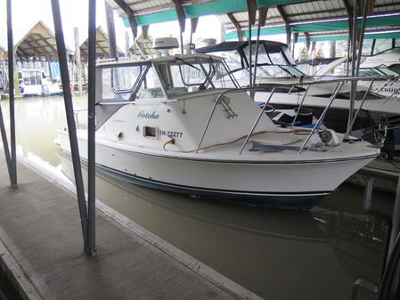 Bertram 25 Custom Bahia Mar image