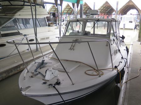 Bertram 25 Custom Bahia Mar image