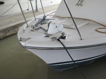 Bertram 25 Custom Bahia Mar image