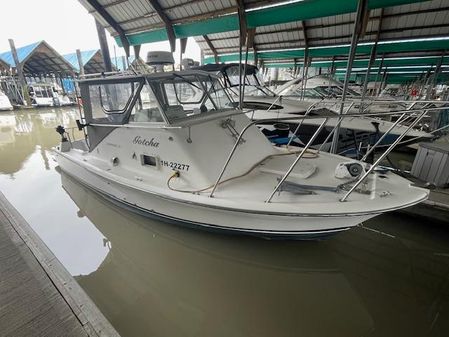 Bertram 25 Custom Bahia Mar image