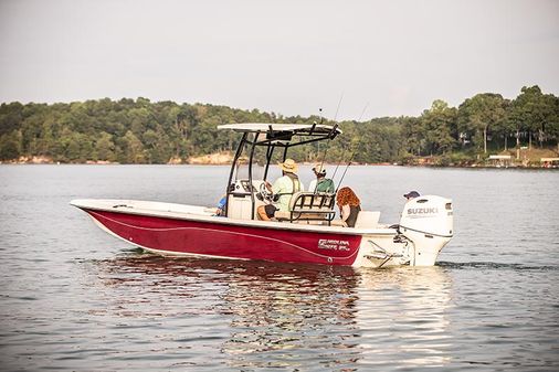 Carolina-skiff 25LS image