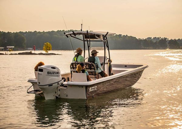 Carolina-skiff 25LS image