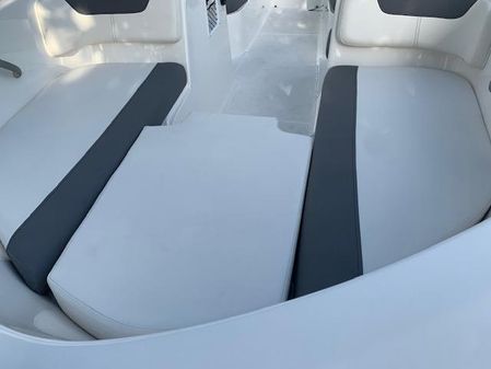 Bayliner Element E18 image