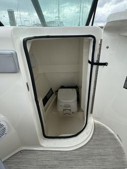 Sea Ray 270SDX image