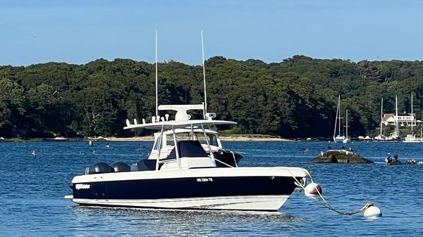 Intrepid 323
