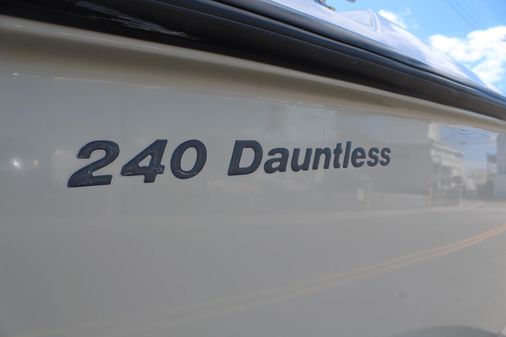 Boston Whaler 240 Dauntless image