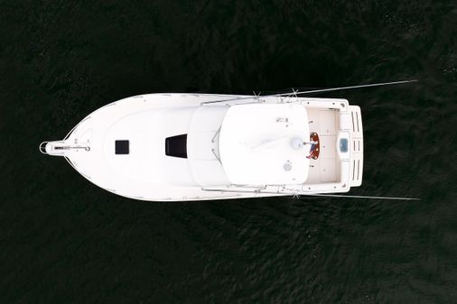 Tiara Yachts 3900 Convertible image