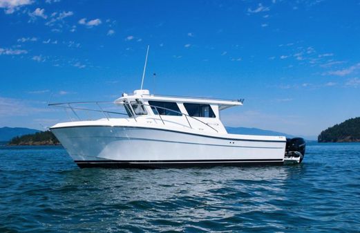 Ocean Sport 30 Roamer #124 image