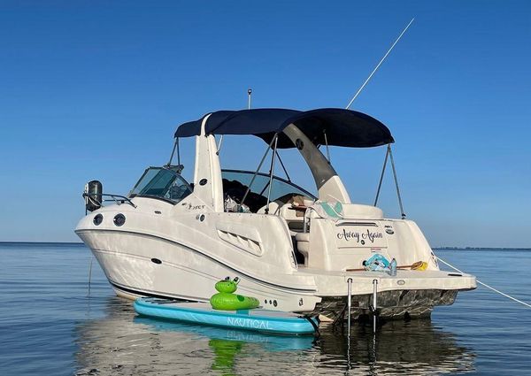 Sea Ray 260 Sundancer image