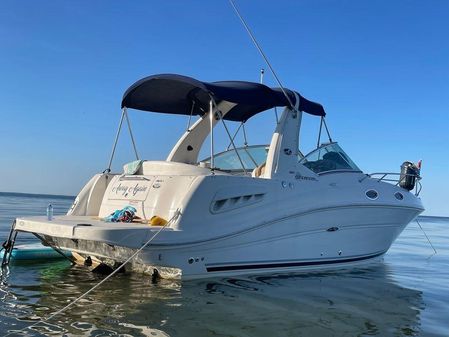 Sea Ray 260 Sundancer image