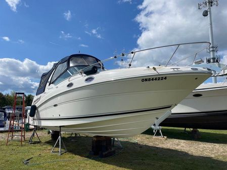 Sea Ray 260 Sundancer image