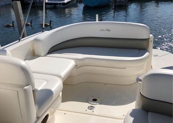 Sea Ray 260 Sundancer image