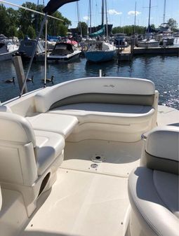 Sea Ray 260 Sundancer image