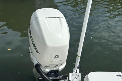 Boston Whaler 240 Dauntless Pro image