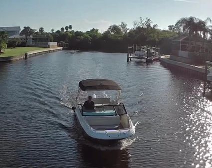 Sea Ray SDX 250 Outboard image