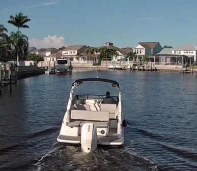 Sea Ray SDX 250 Outboard image