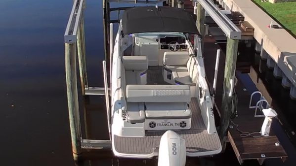 Sea Ray SDX 250 Outboard image