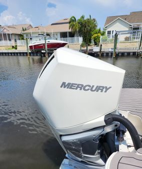 Sea Ray SDX 250 Outboard image