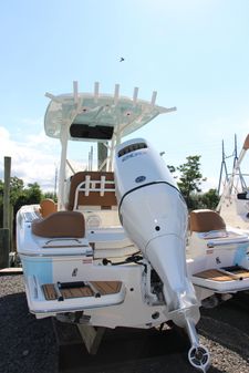 Pioneer 202 Islander image