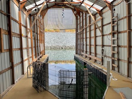 Custom BOAT-HOUSE image