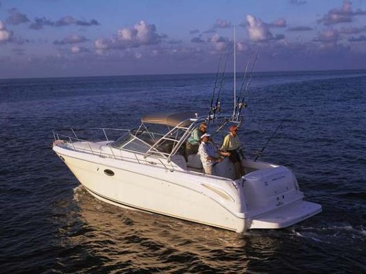 Sea-ray 290-AMBERJACK - main image