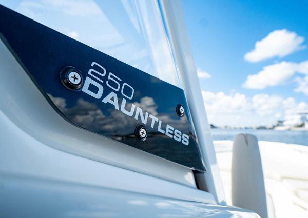 Boston Whaler 250 Dauntless image