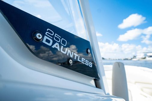 Boston Whaler 250 Dauntless image