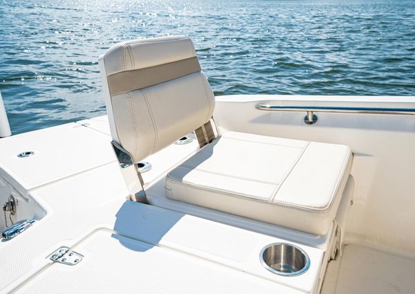 Boston Whaler 250 Dauntless image