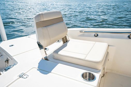 Boston Whaler 250 Dauntless image