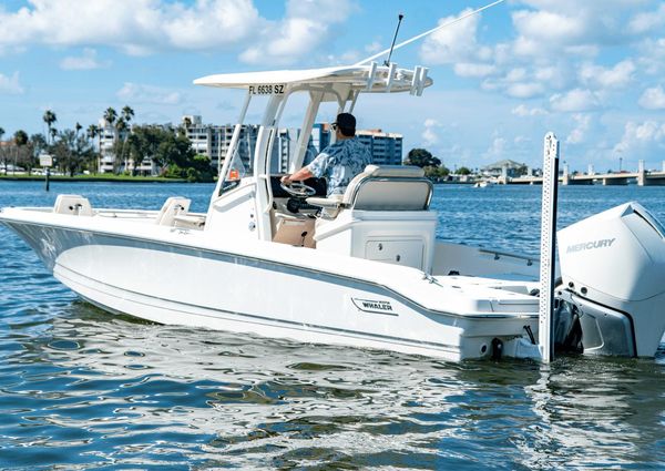 Boston Whaler 250 Dauntless image