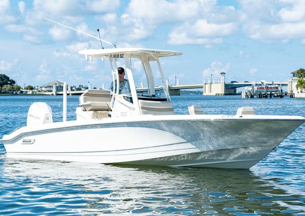 Boston Whaler 250 Dauntless image