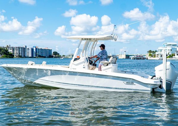 Boston Whaler 250 Dauntless image