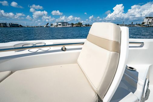 Boston Whaler 250 Dauntless image