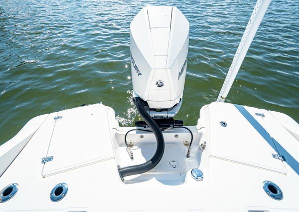 Boston Whaler 250 Dauntless image