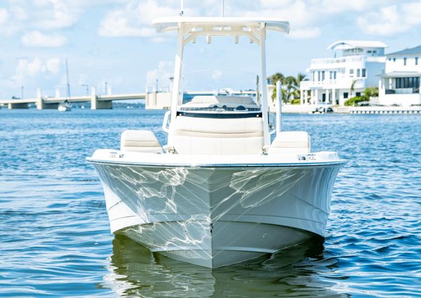 Boston Whaler 250 Dauntless image