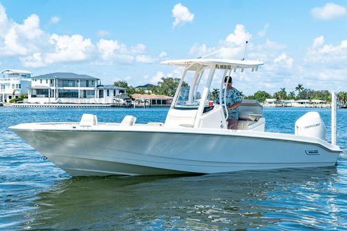 Boston Whaler 250 Dauntless image