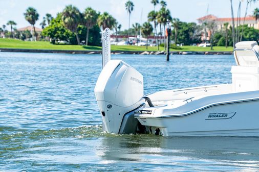 Boston Whaler 250 Dauntless image