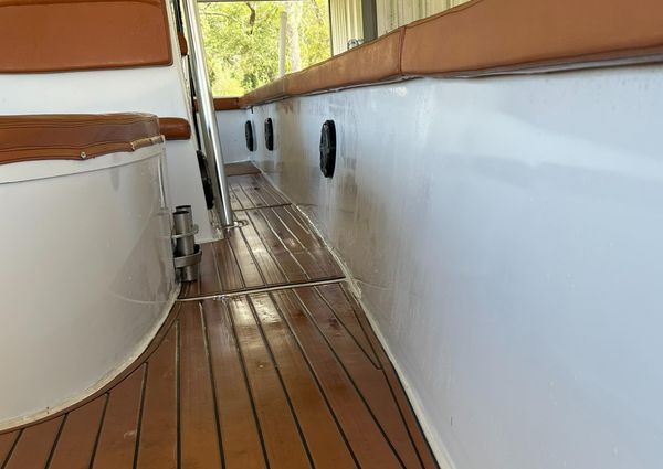 Custom 38 Coyote image