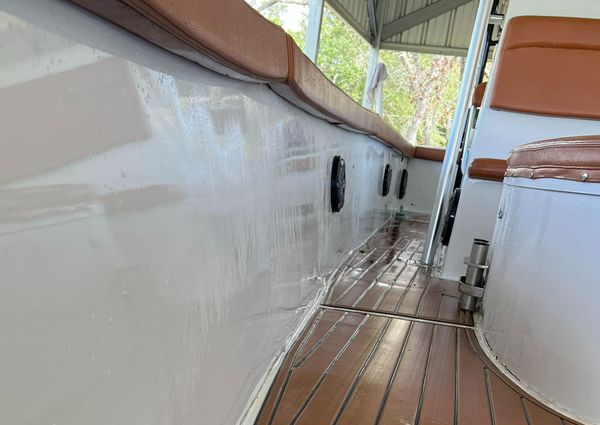 Custom 38 Coyote image