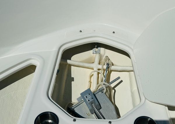 Bayliner ELEMENT-E18 image