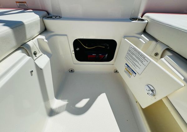 Bayliner ELEMENT-E18 image