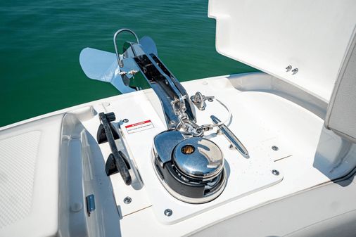 Sea Ray 270 SDX Outboard image